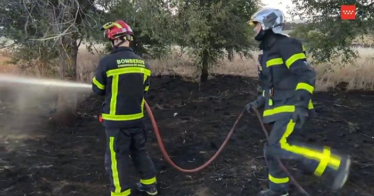 Muere un hombre al incendiarse su coche tras chocar contra un árbol en ...