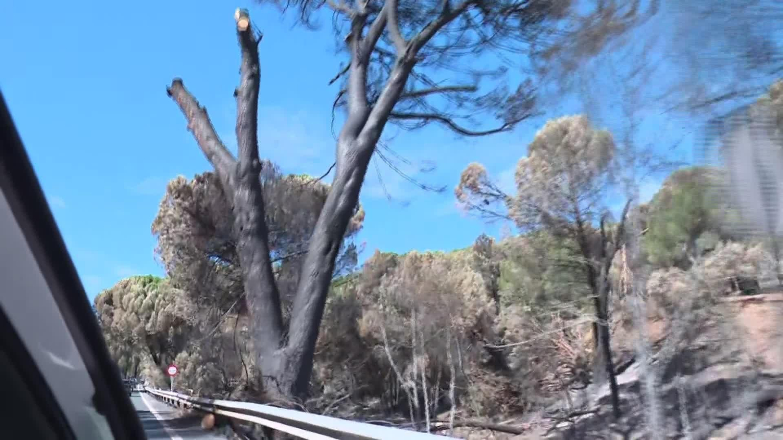X053-EDI MADRID RASTRO INCENDIOS