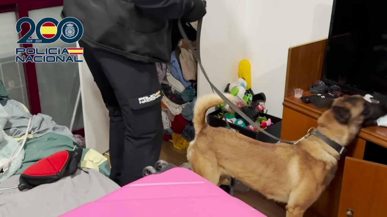 va operacion narcopisos