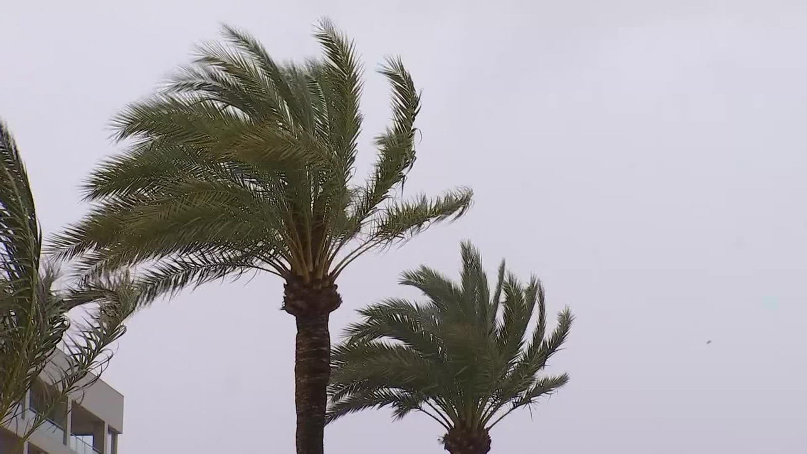 J001-EDI-VARIOS TEMPORAL DE VIENTO