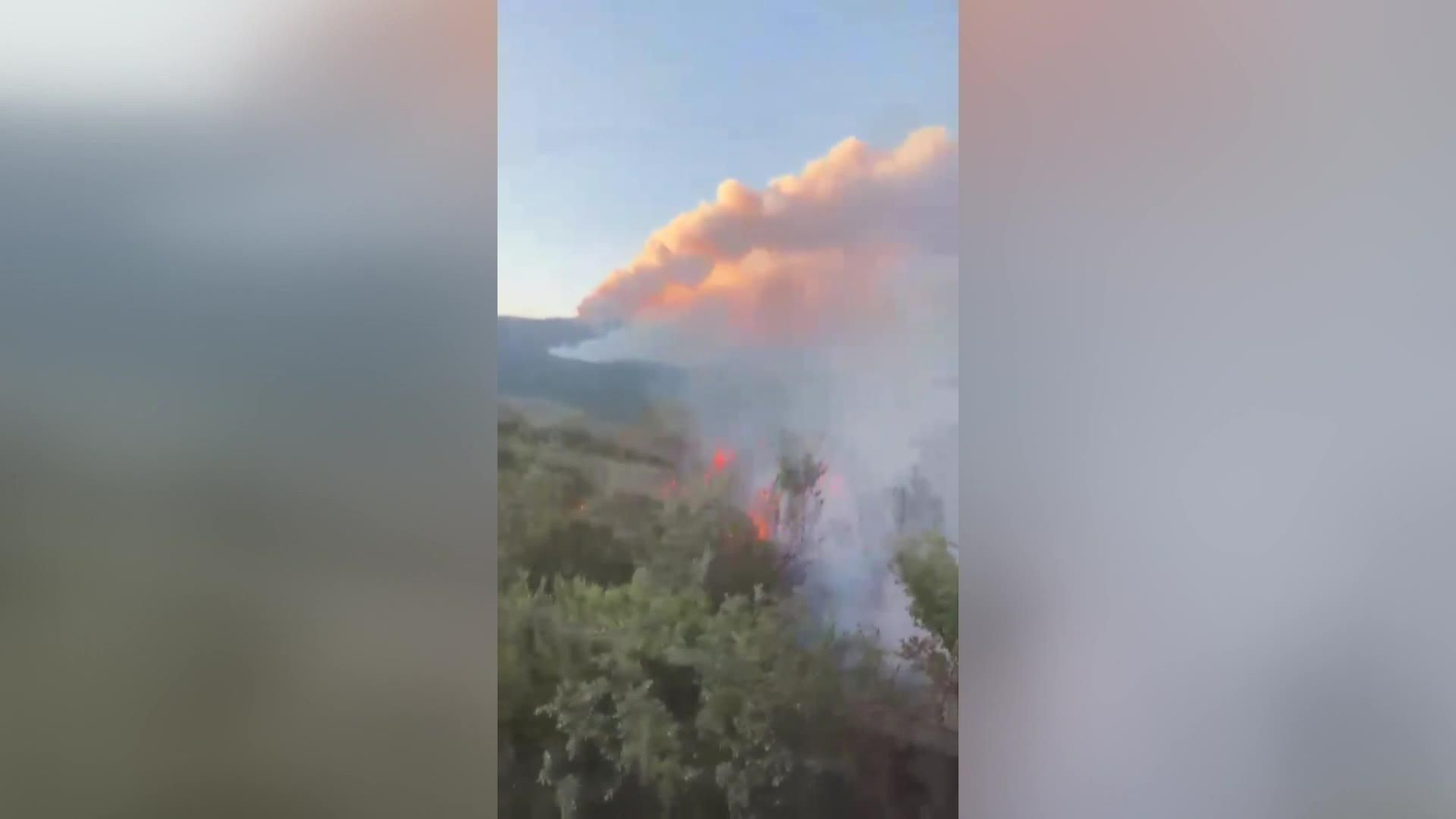 web incendio de guadalajara a soria