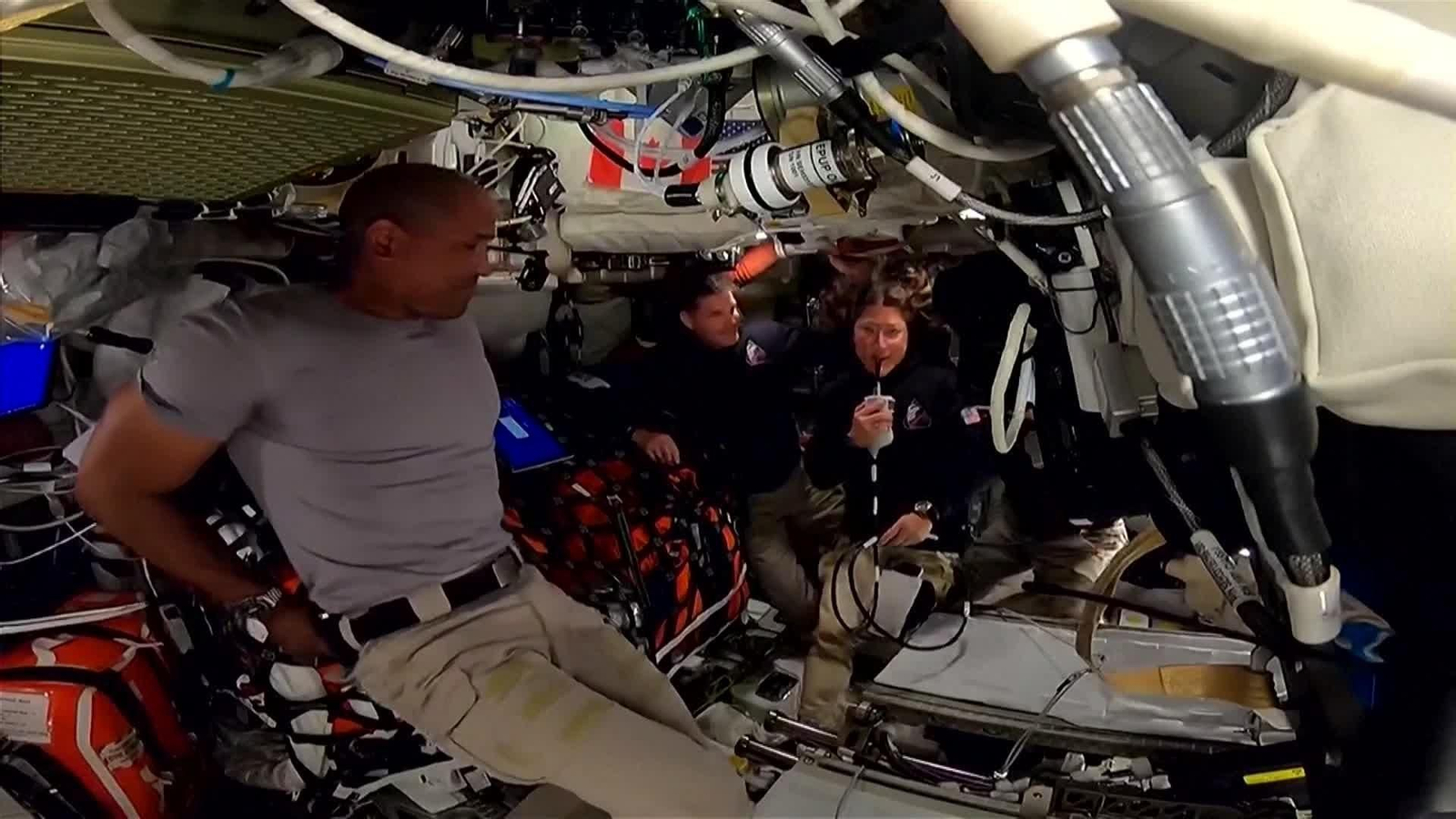 web cerebros astronautas