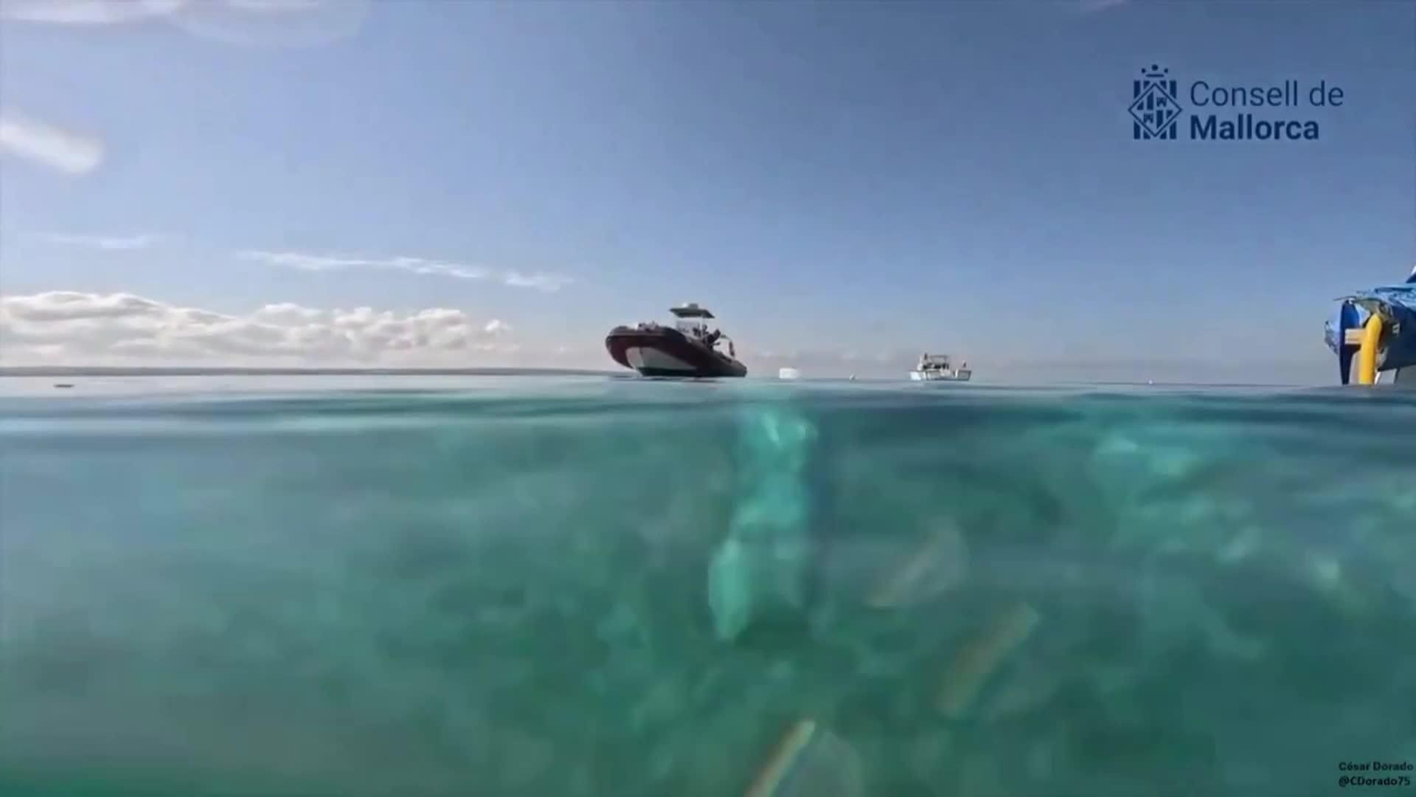 L057-MALLORCA PECIO