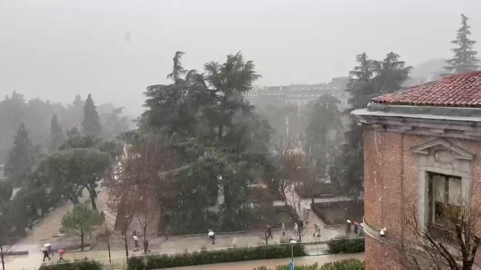 X055-EDI MADRID IMPACTO NIEVE