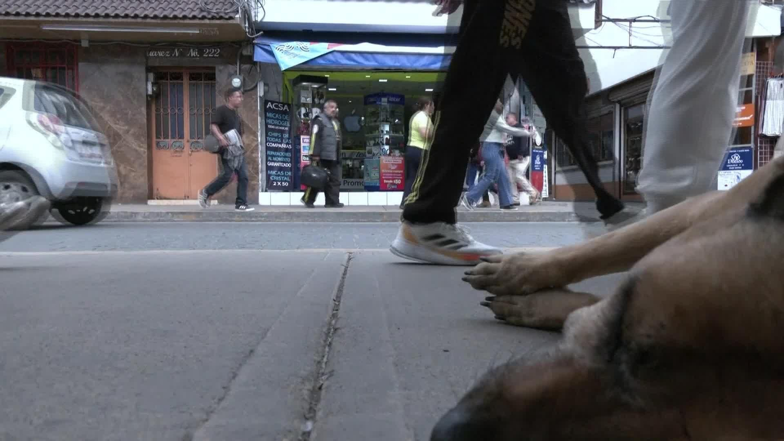S034-MEXICO VECINOS CUIDAN PERRO ABANDONADO