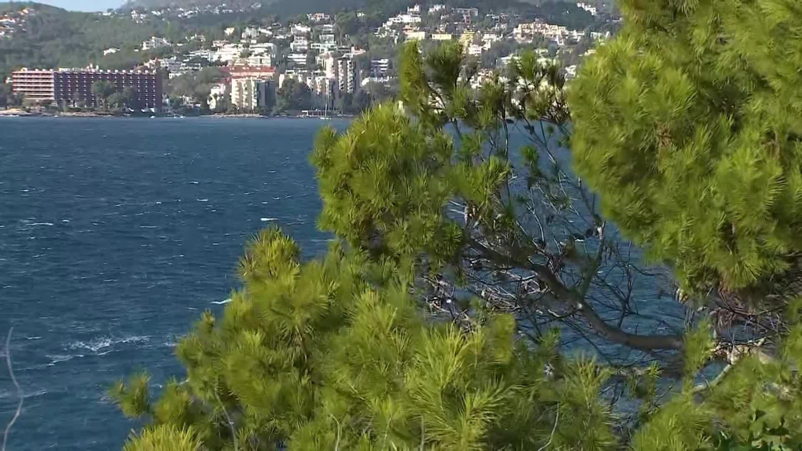 L035-VARIOS FRIO Y VIENTO