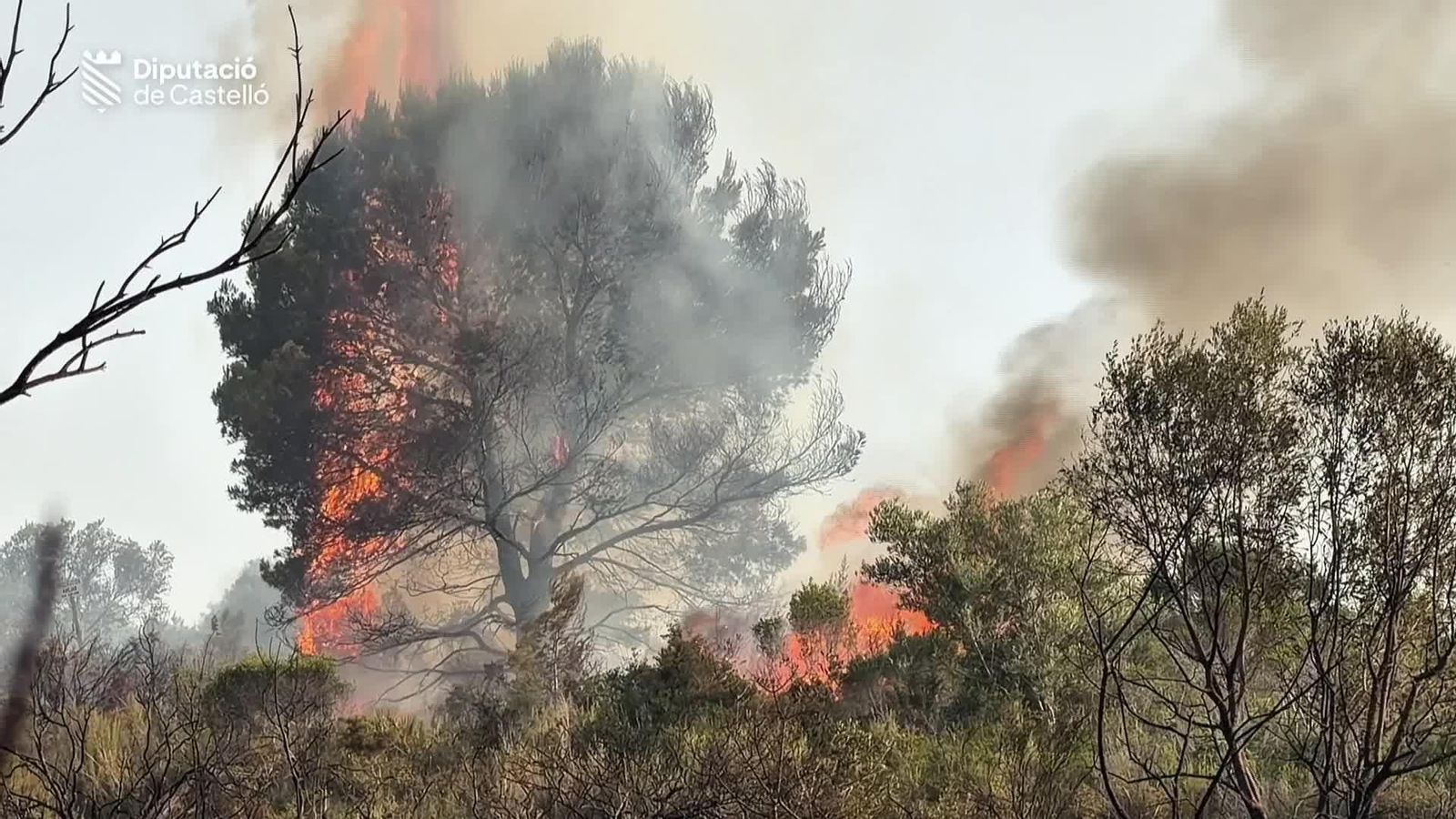 M010-IMAGENES BOMBEROS INCENDIO BENICARLO
