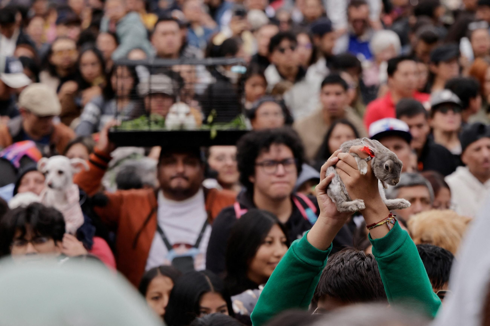 Quito celebra una multitudinaria bendición de mascotas en honor a San Francisco de Asís
