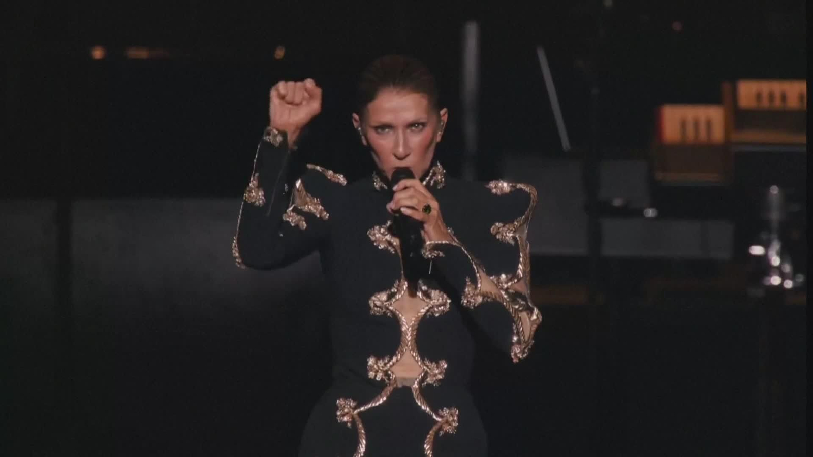 D003-FRANCIA CONCIERTO CELINE DION