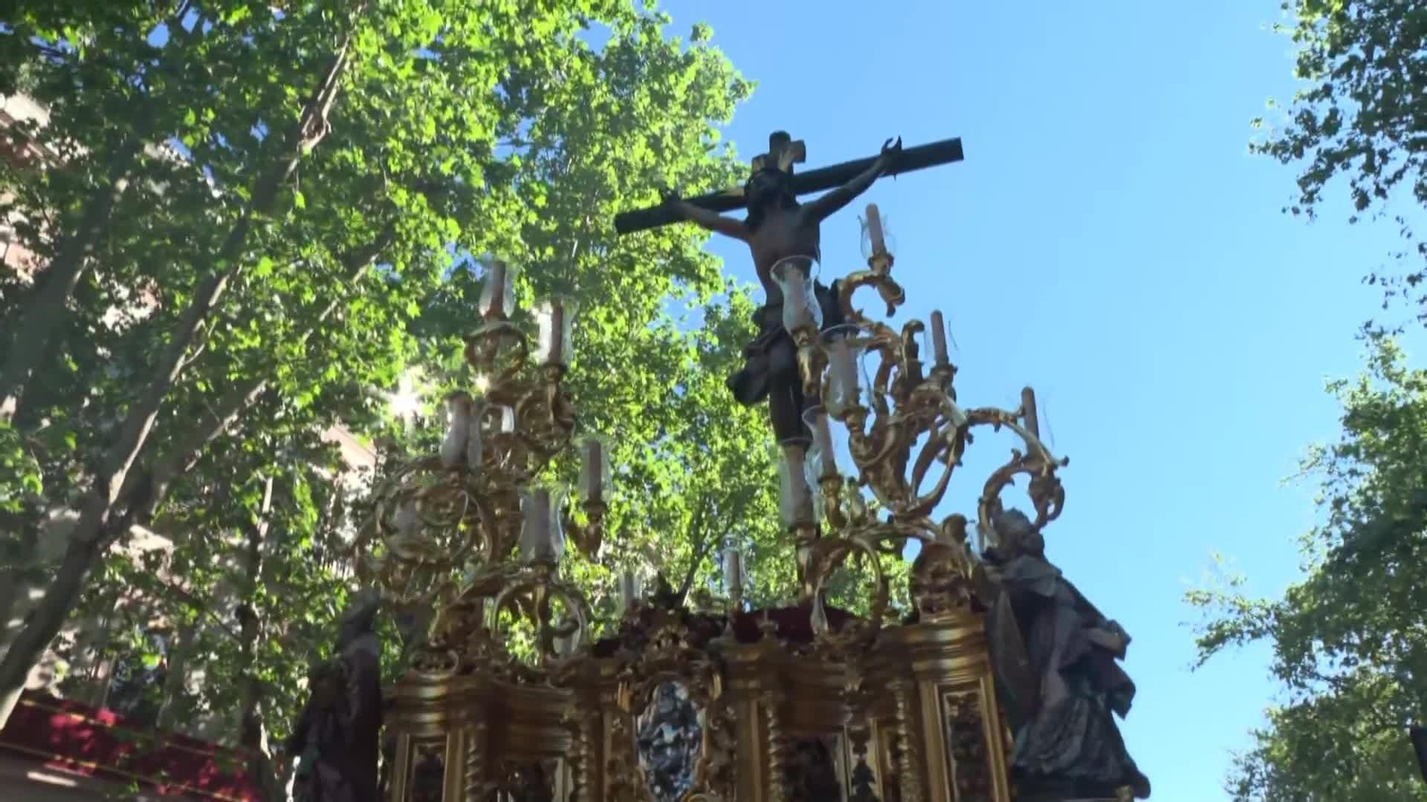 va procesion cachorros