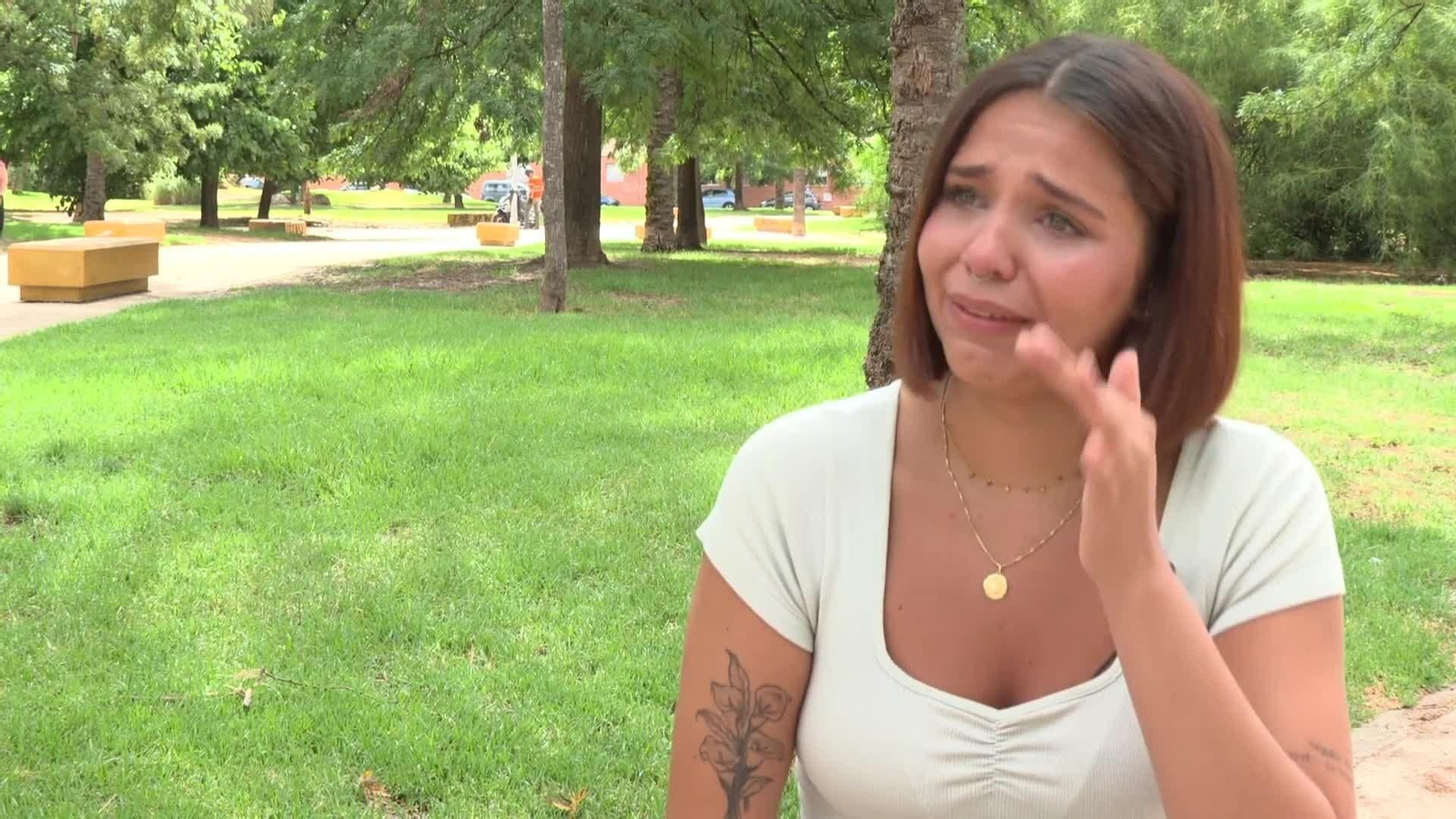 web venezolanos ok