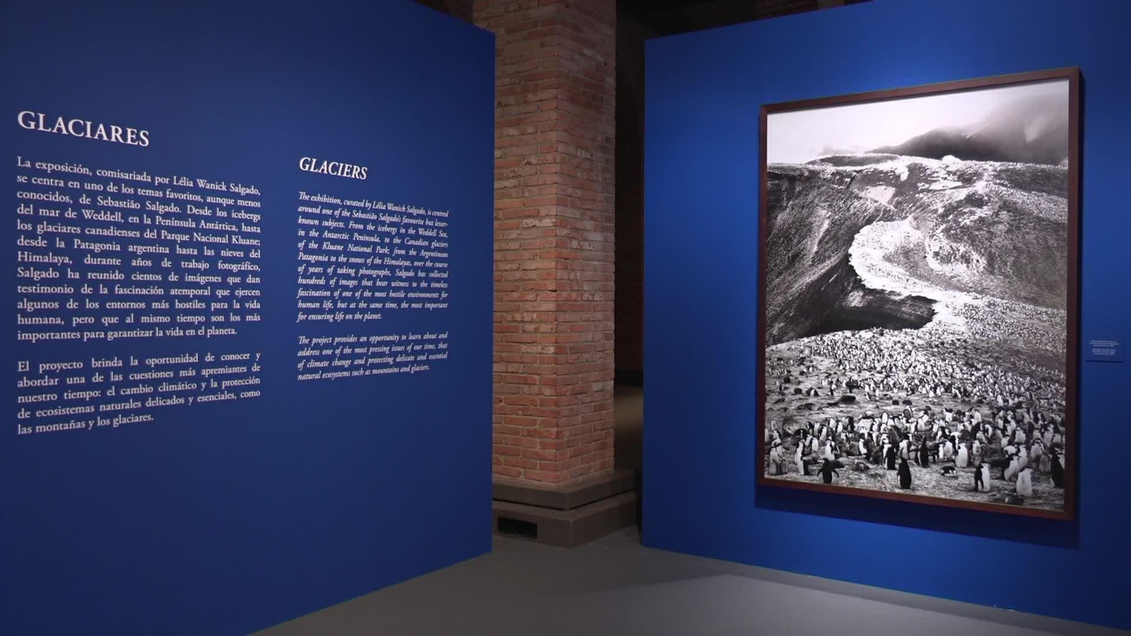 M040-MADRID EXPOSICION SALGADO CANAL