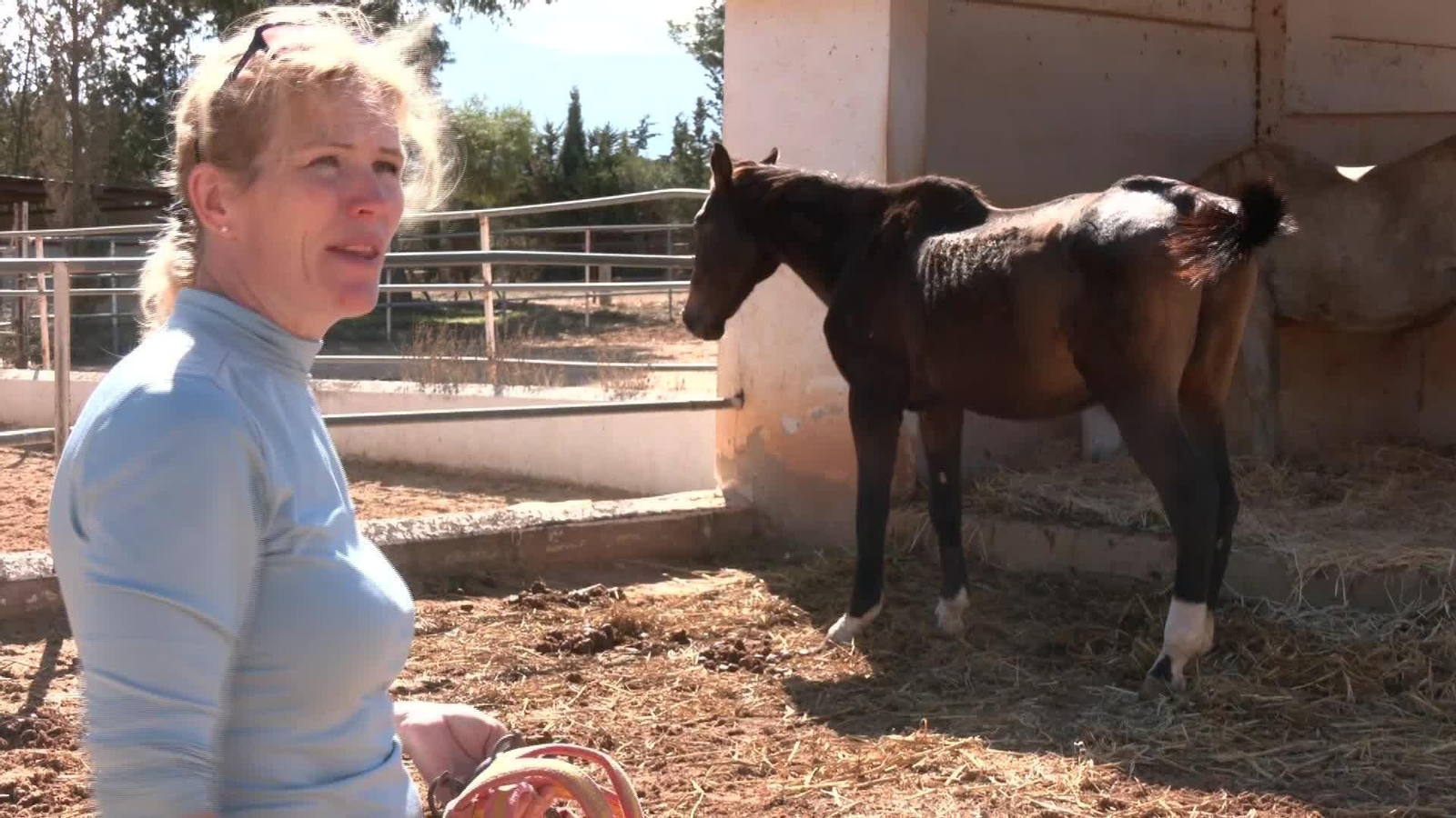 L042-ANTEQUERA SANTUARIO CABALLOS