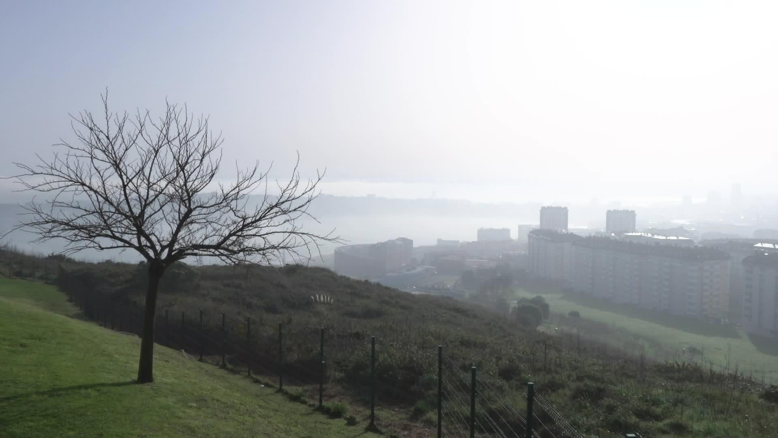 X071-A CORUÑA POLVO SUBSAHARIANO