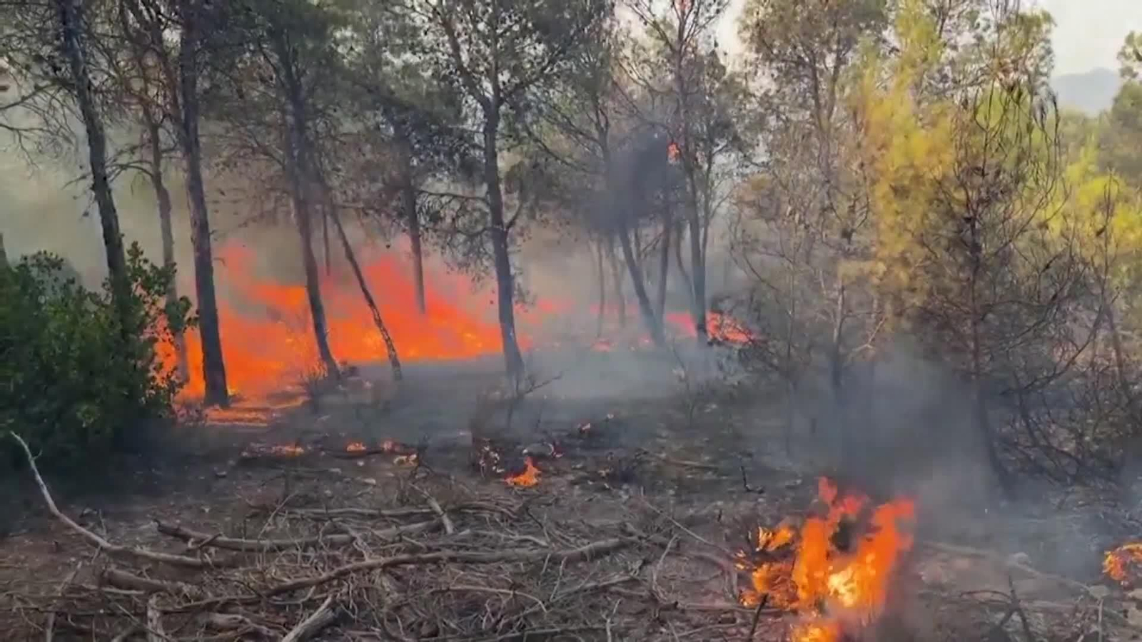 va incendio argelia
