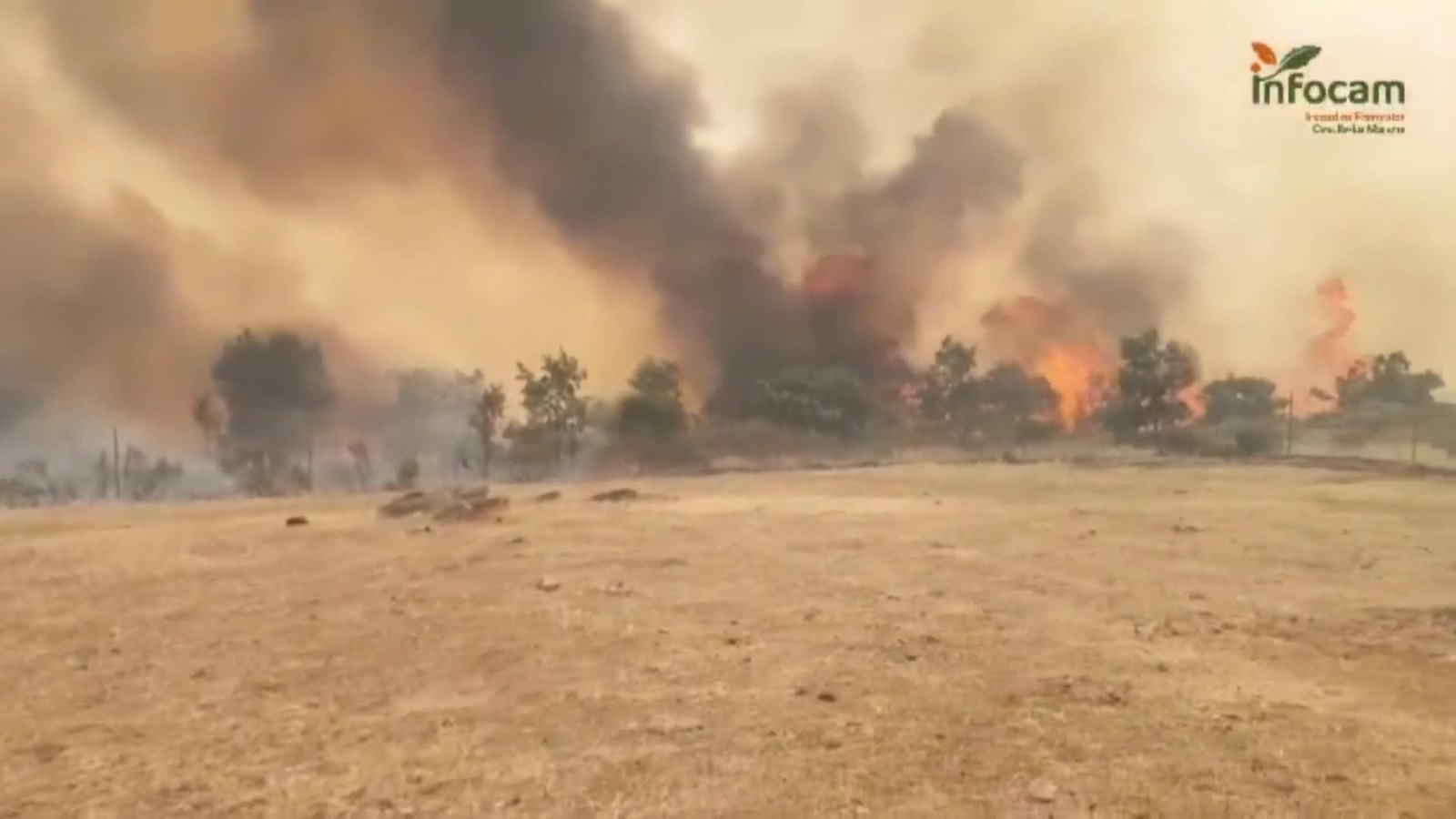 web la mierla ok