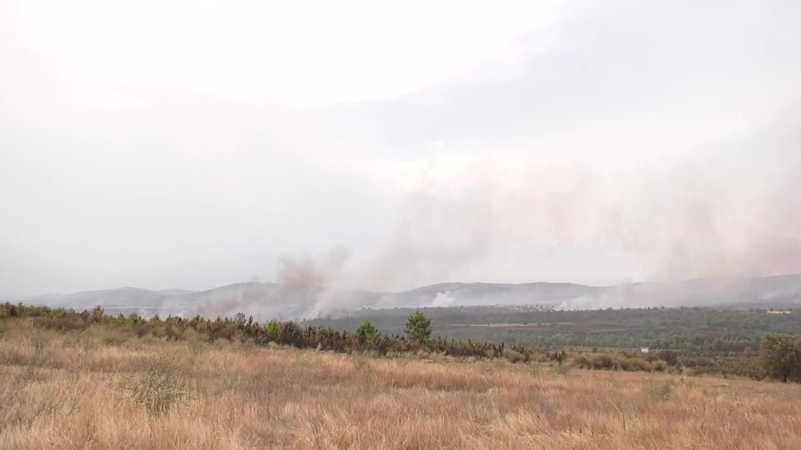 X071-ZAMORA RIOFRIO INCENCIO TARDE