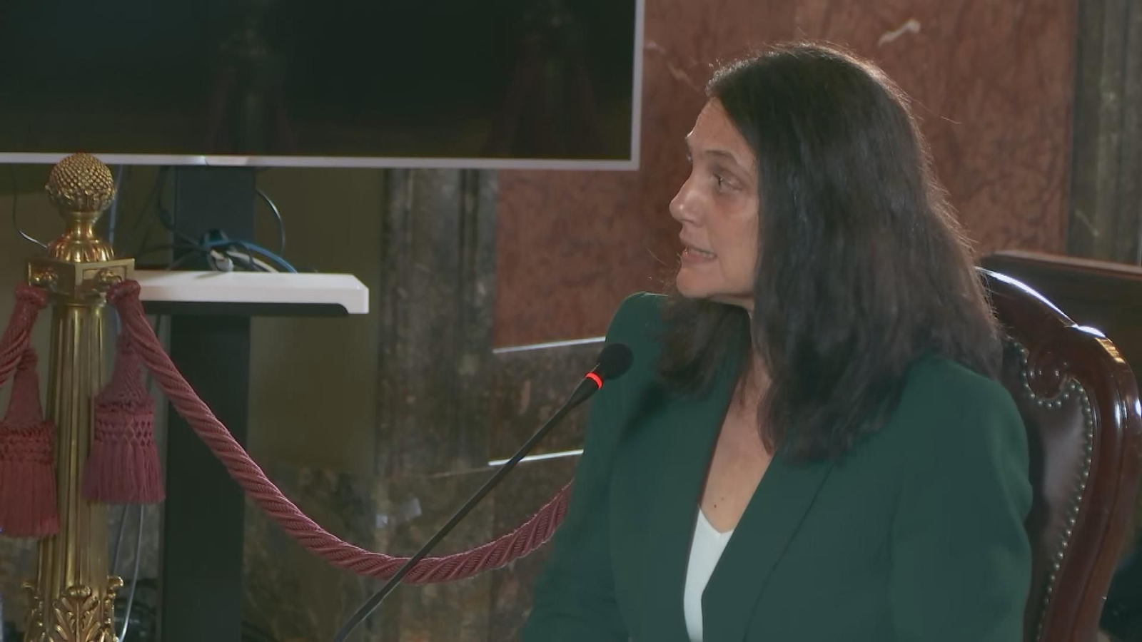 X013 MADRID JUICIO FGE PILAR SANCHEZ ACERA.Duplicate frame 3183