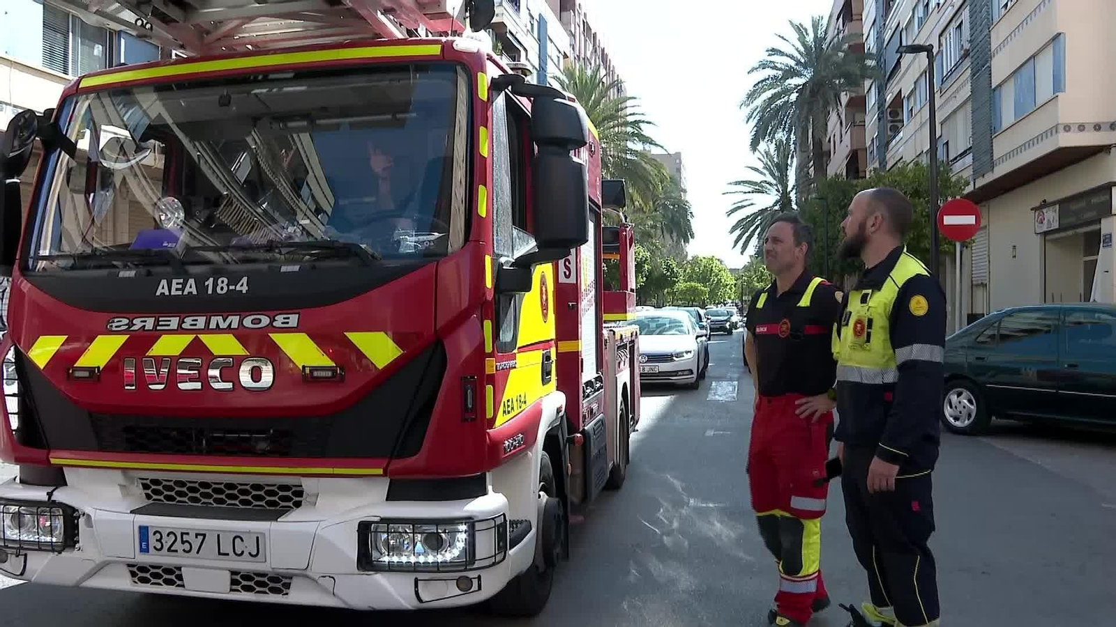 M042-VALENCIA ENJAMBRES ABEJAS VÍA PÚBLICA