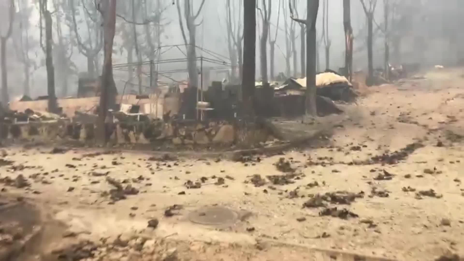 web incendio en avila