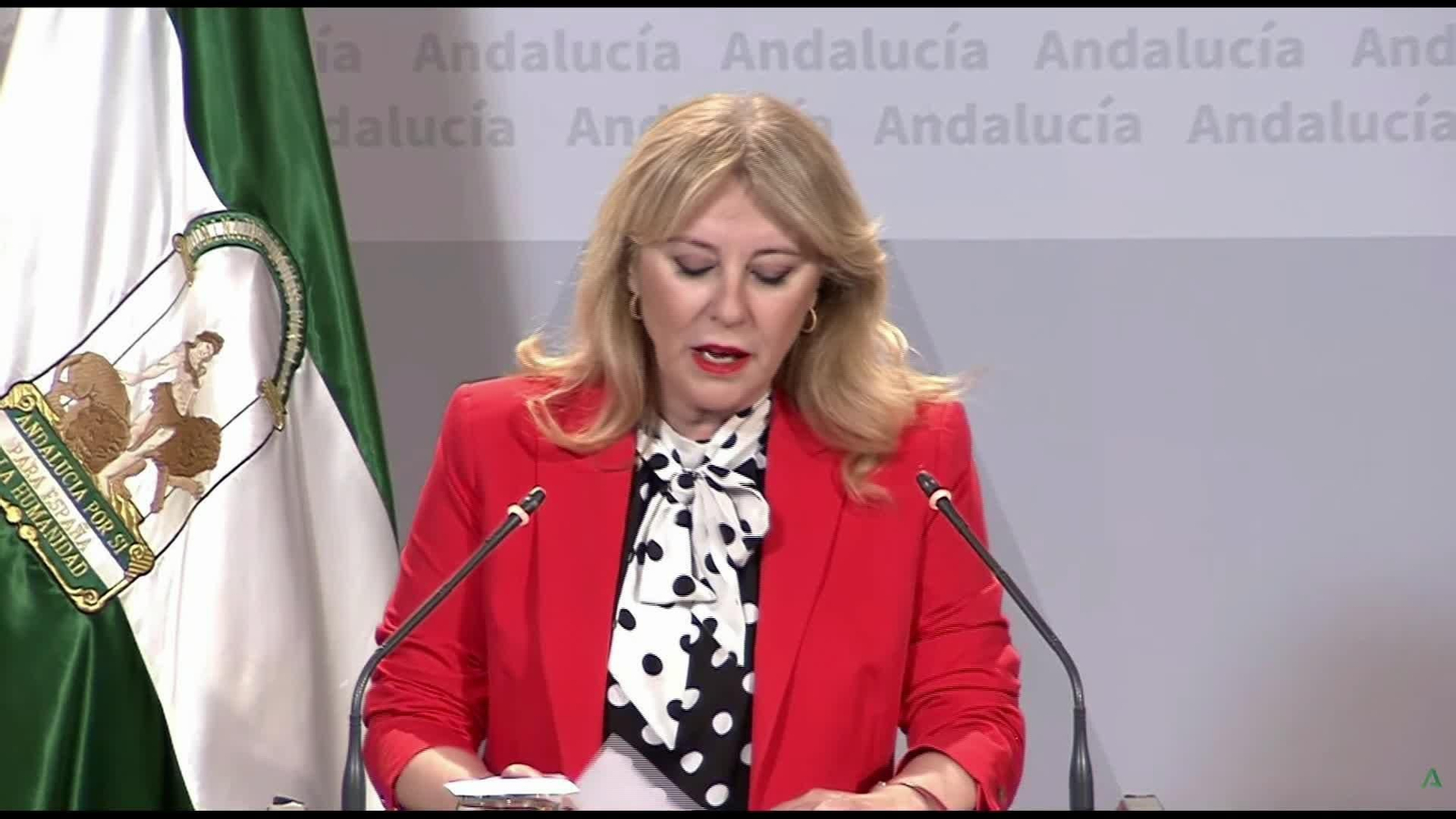 M076-SEVILLA CONSEJO DE GOBIERNO AYUDAS ADAMUZ