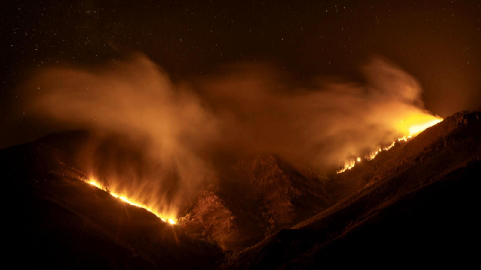 wen world press photo