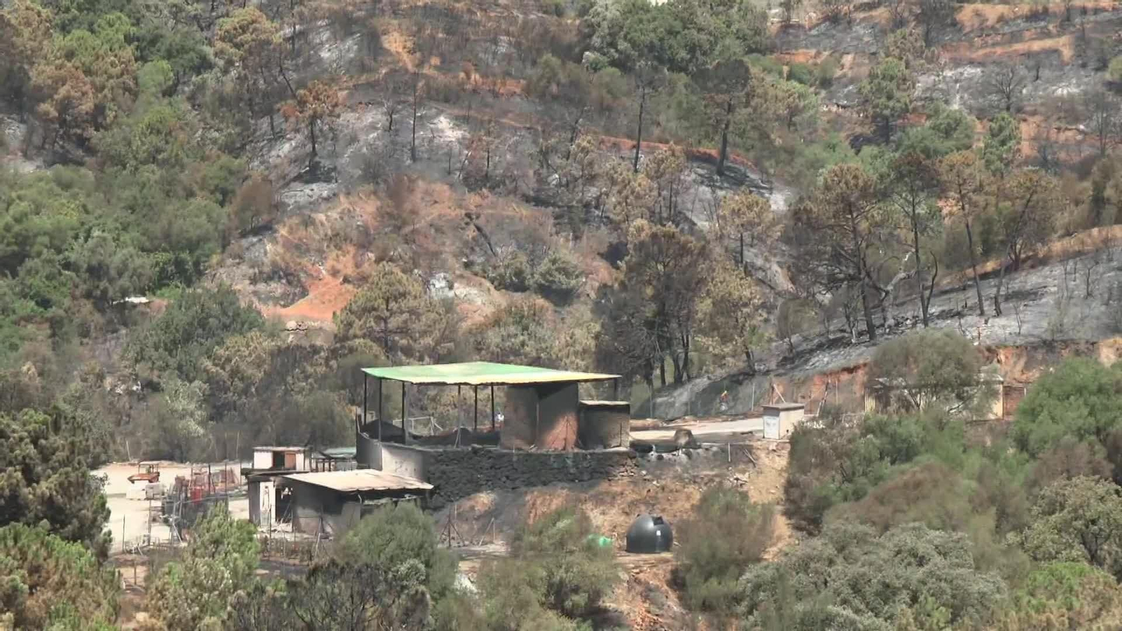 V043-MALAGA REGRESO BENAHAVIS TRAS INCENDIO