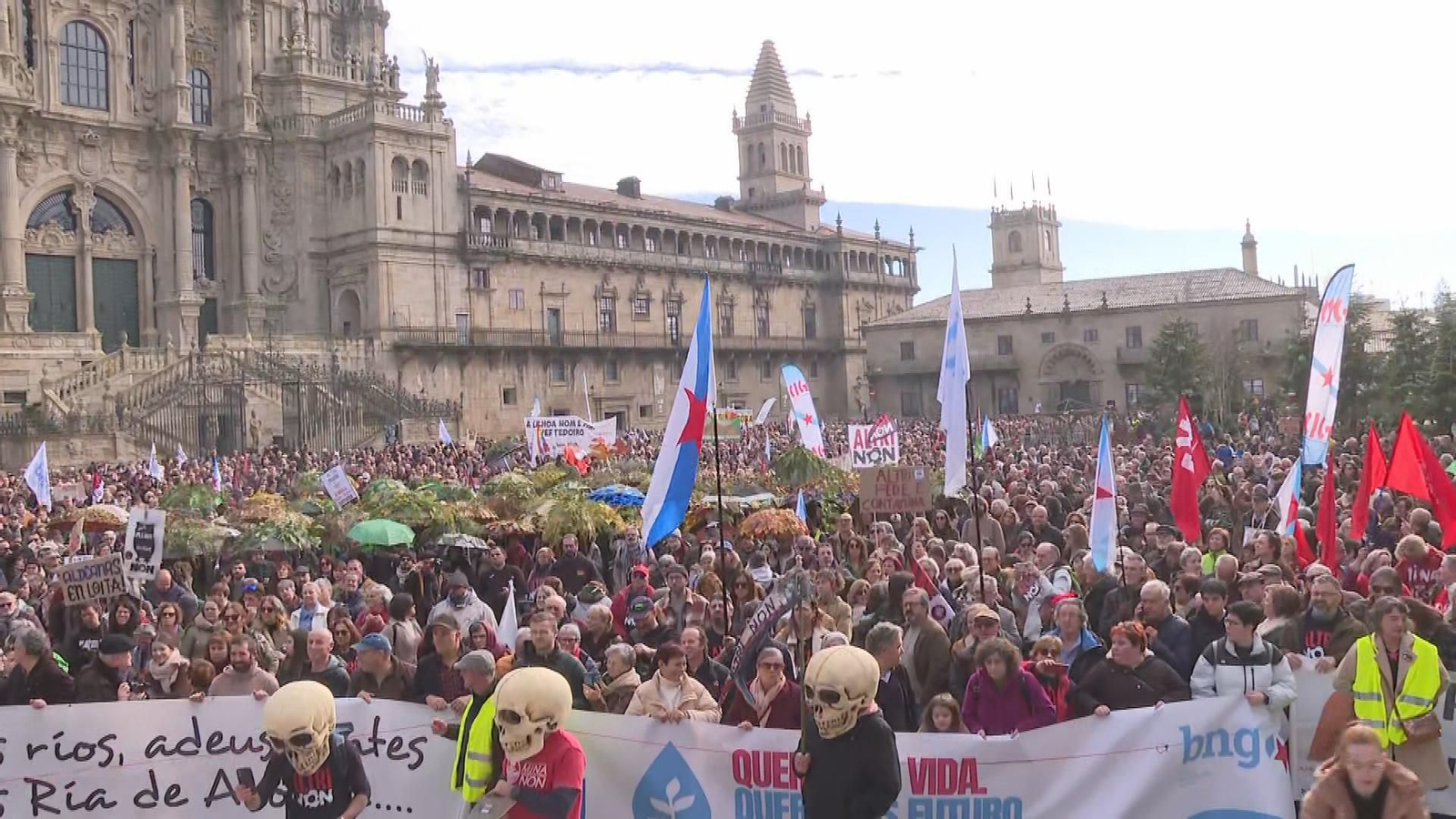 mani contra macrocelulosa