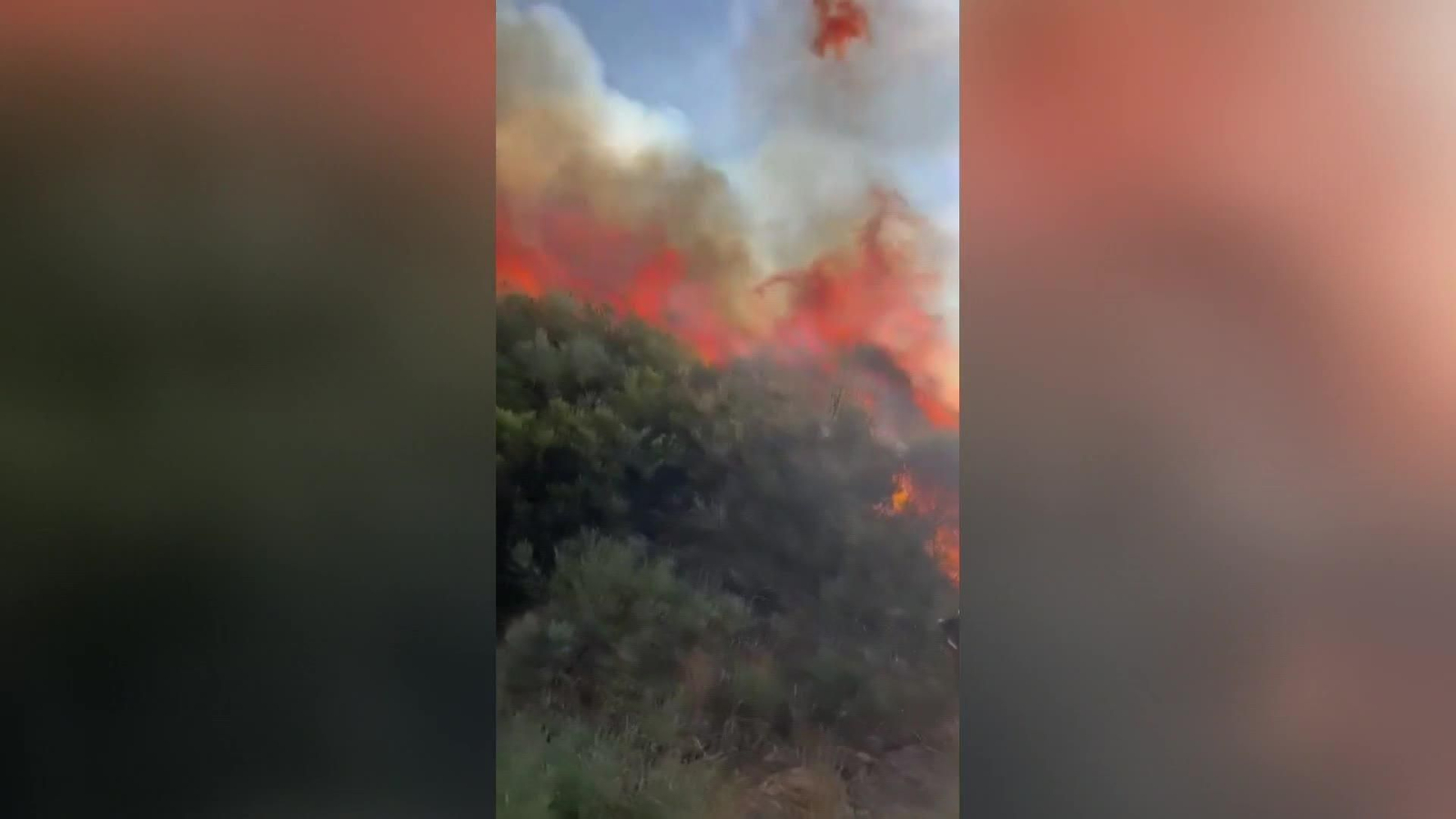 web fuego lo nunca visto