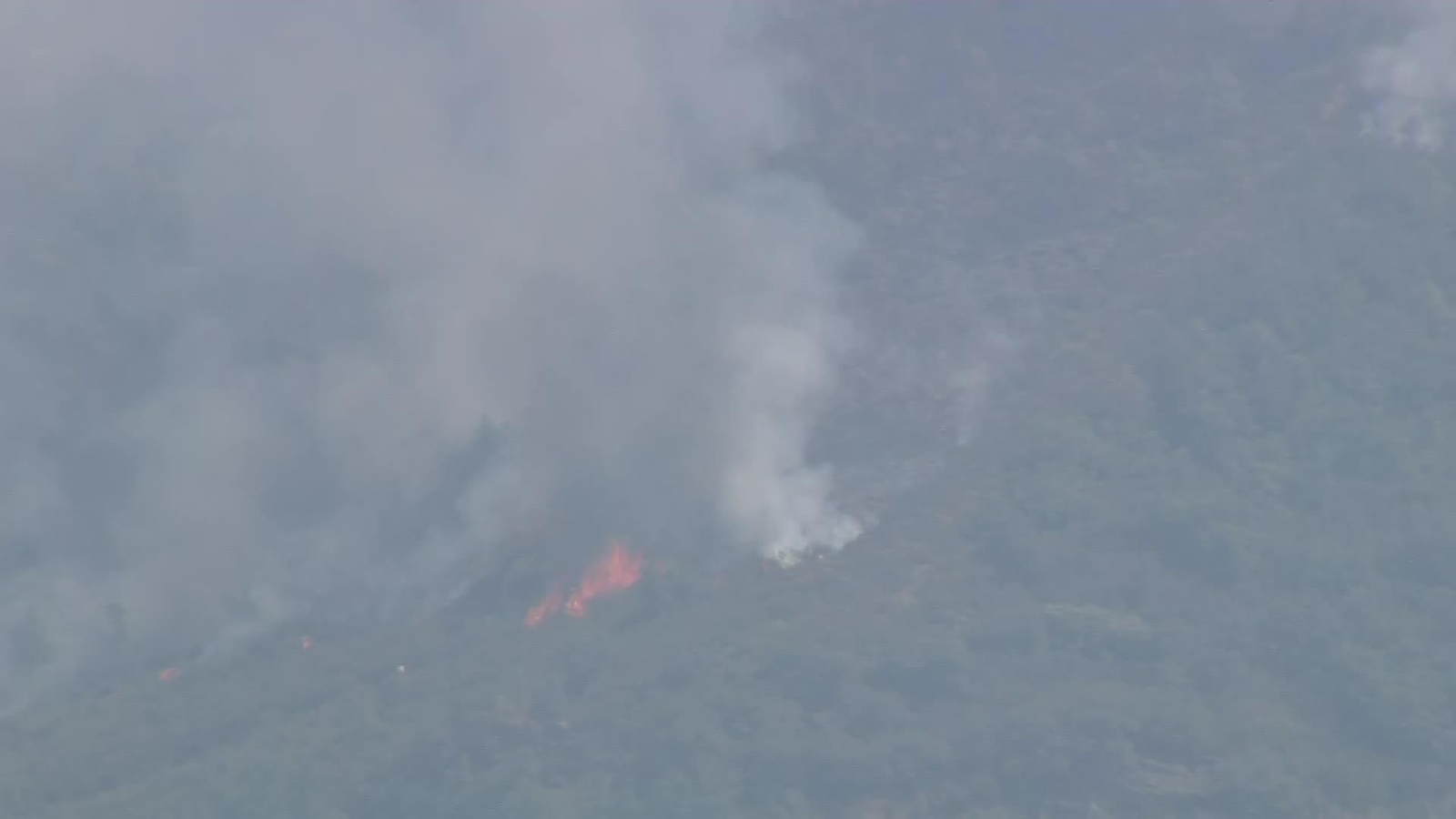 M077-LEÓN INCENDIO ANCARES TARDE