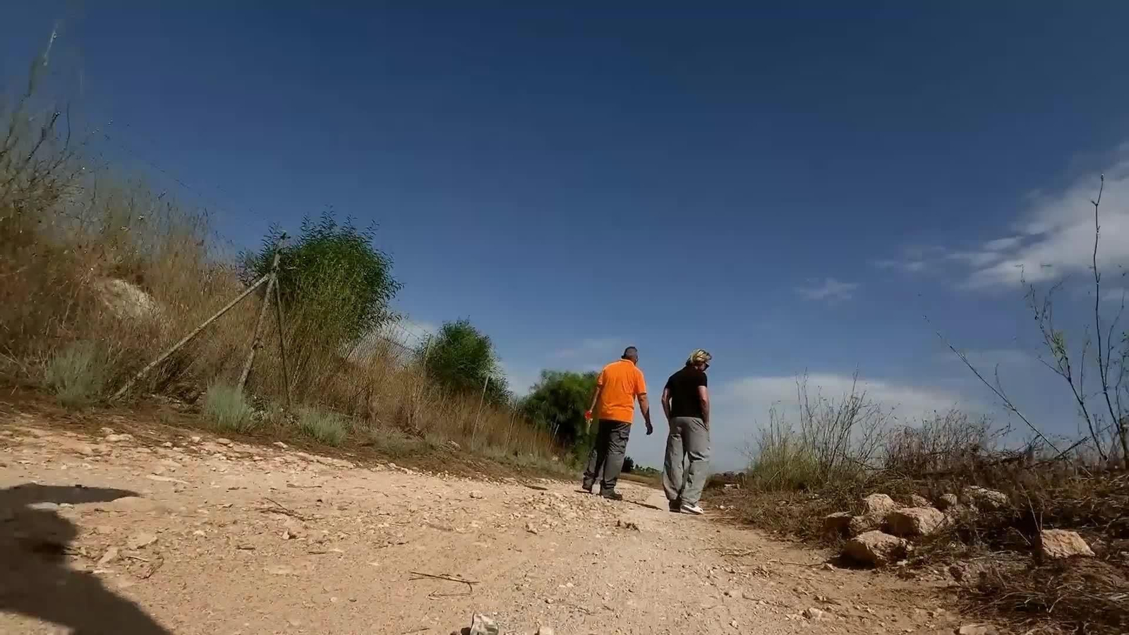 L003-EDI VALENCIA PLAGA GARRAPATAS