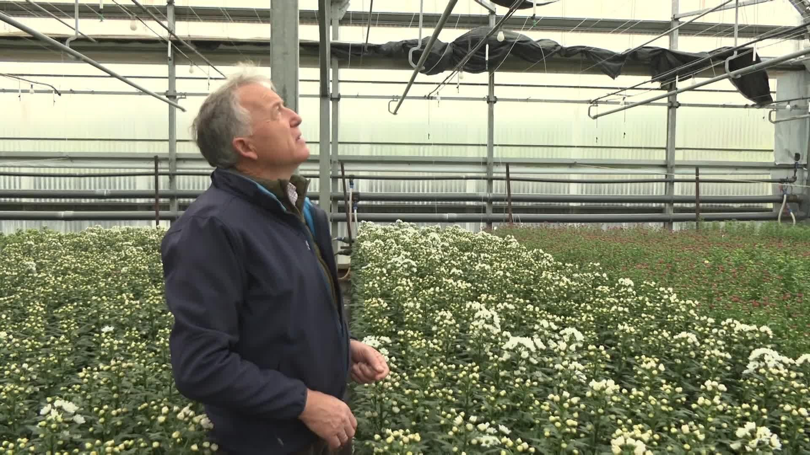 L045-SEVILLA DAÑOS LLUVIAS AGRICULTURA LEBRIJA