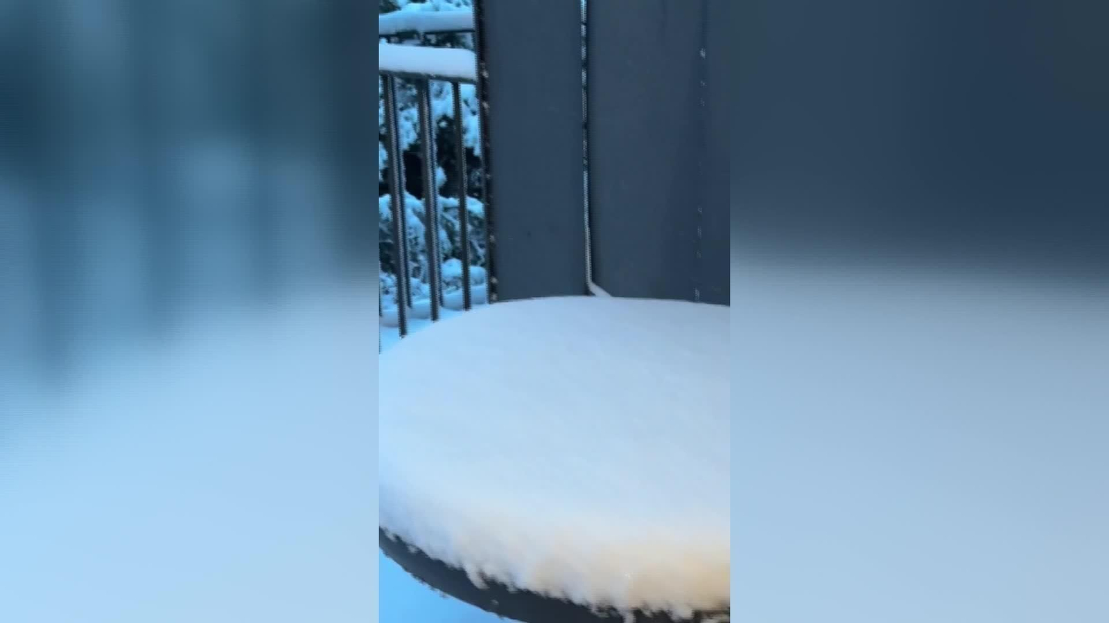 L046-EDI VARIOS FRIO Y NIEVE