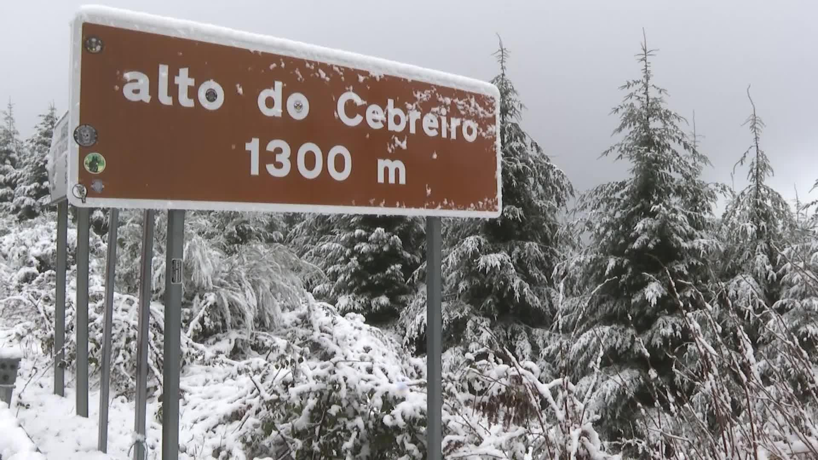 X039-LUGO NIEVE O CEBREIRO