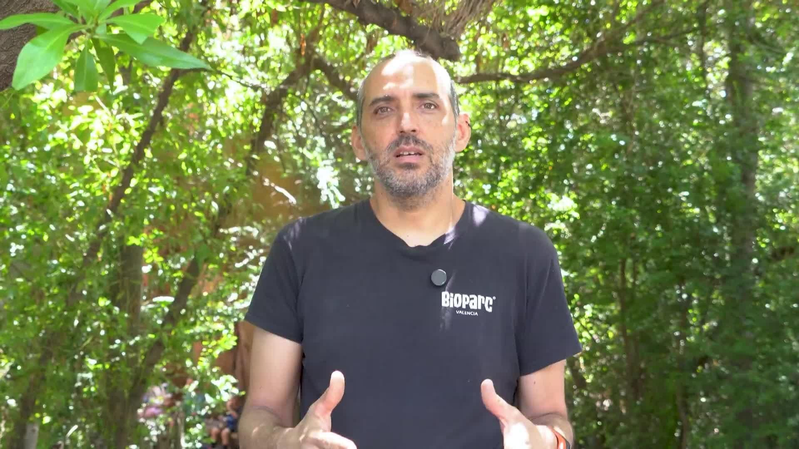 L023-VALENCIA BIOPARC OLA DE CALOR
