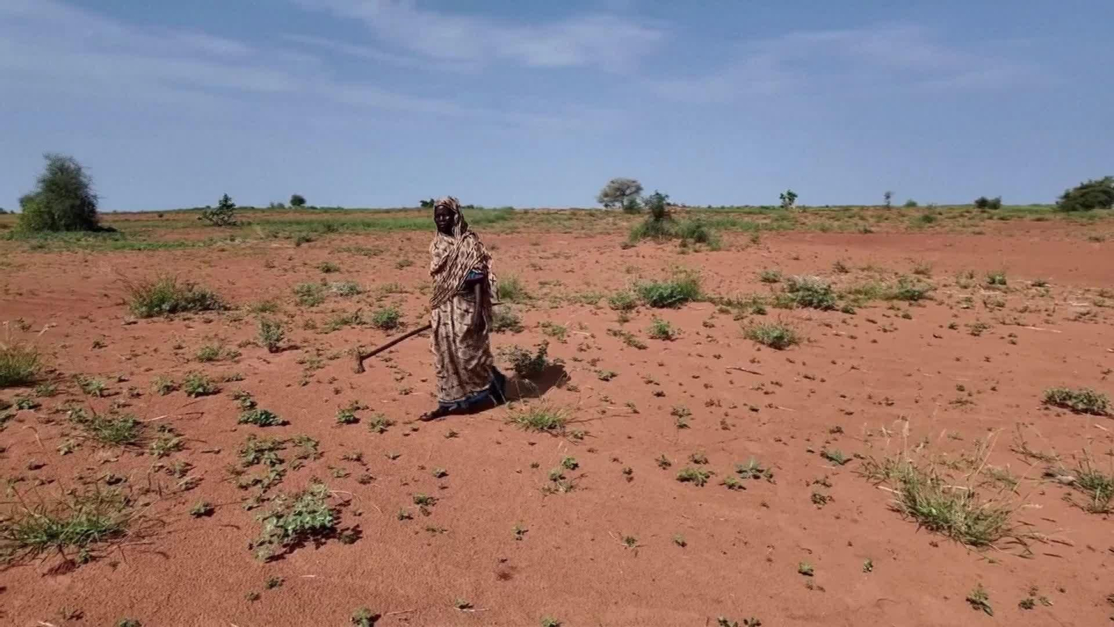 V008-SUDAN NUEVO RIESGO HAMBRUNA