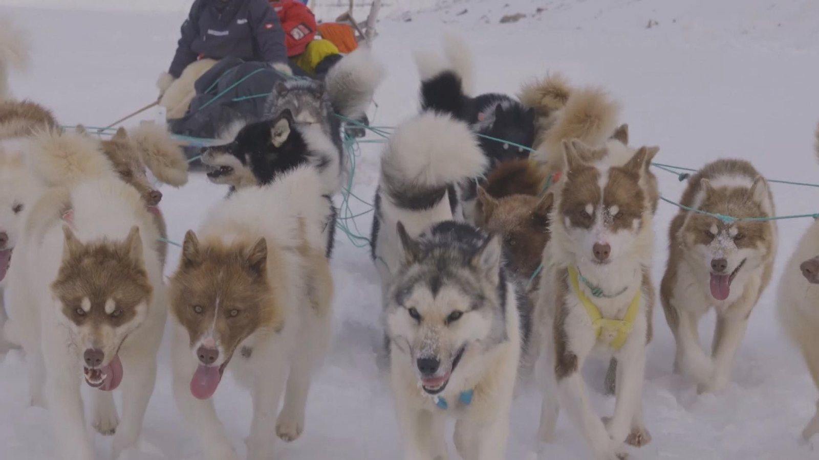 Manolo Calvo, explorador ártico malagueño