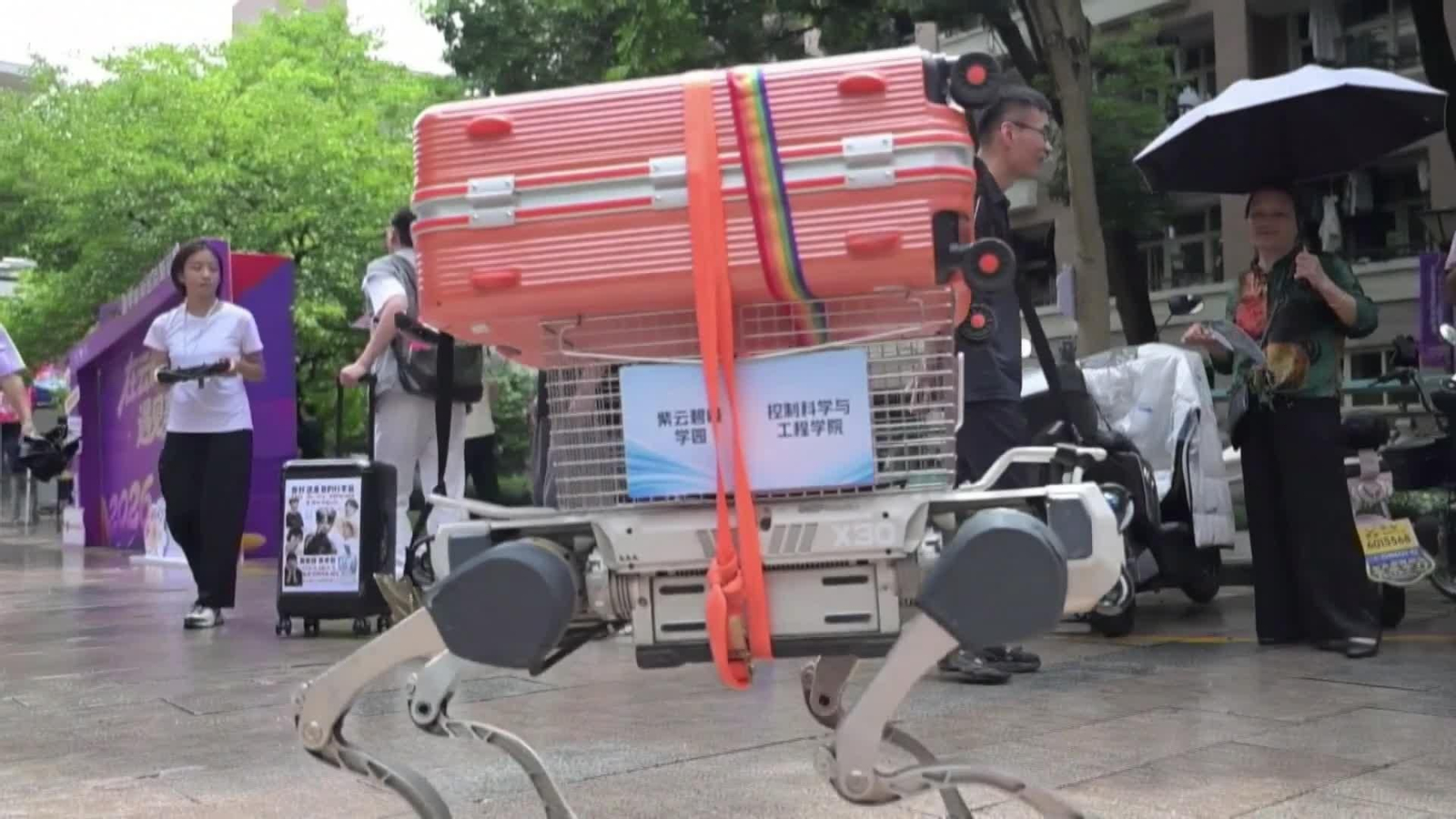 va china robot perro