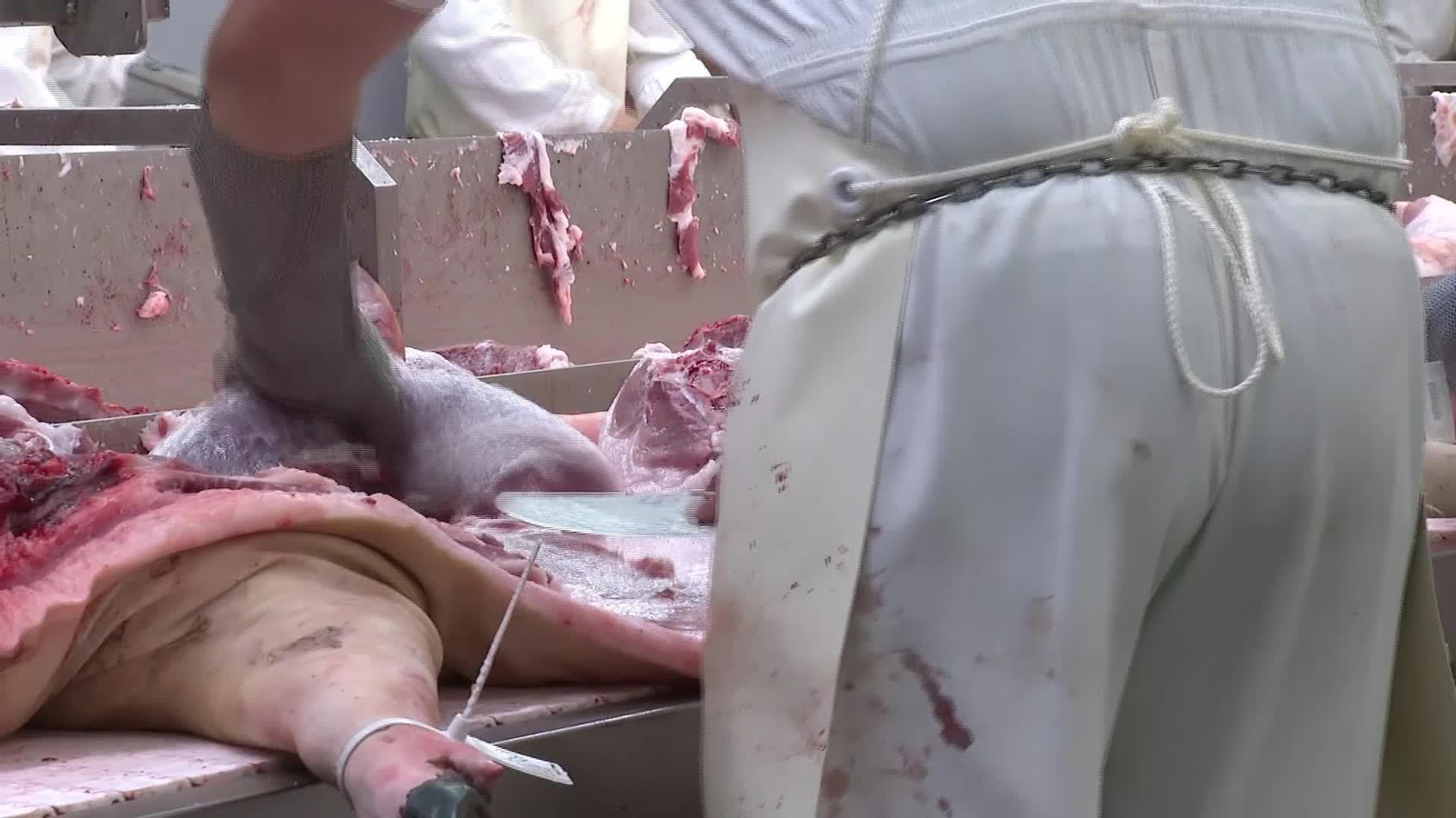 X001-EDI-VARIOS PRECIO Y CONSUMO DE CERDO