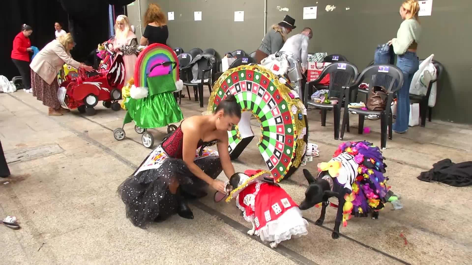 D038-CANARIAS CARNAVAL CANINO LAS PALMAS