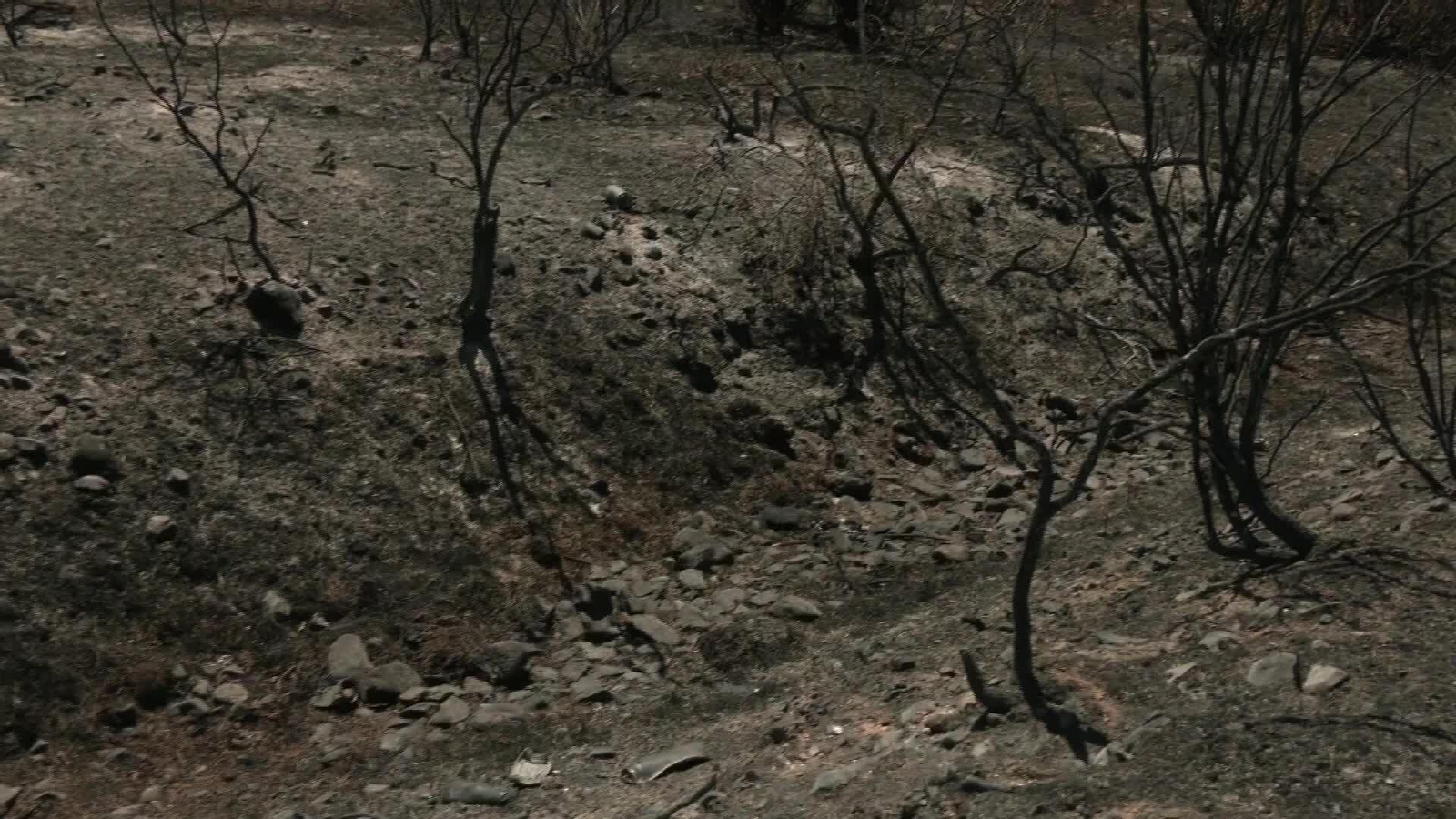 L639-BADAJOZ ESTABILIZADO INCENDIO VALDECABALLEROS