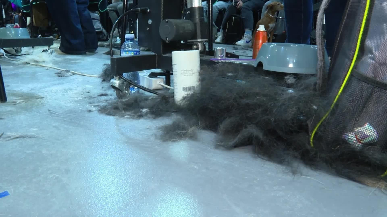 S039-BARCELONA VILASSAR PELUQUERIA CANINA