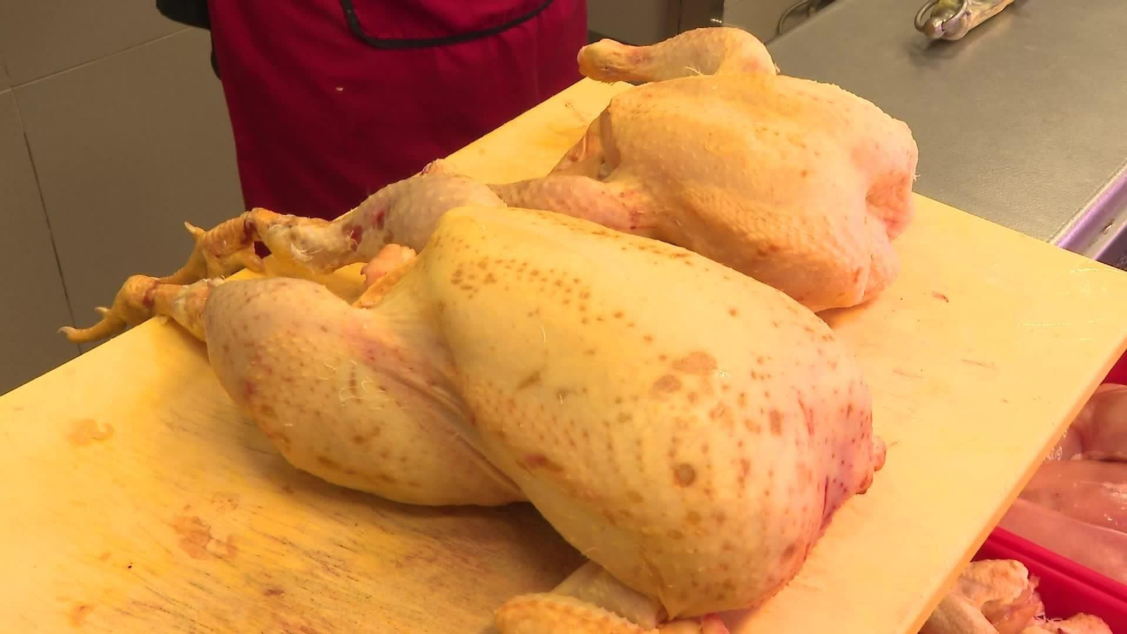 M100-VARIOS CONFINAMIENTO AVES GRIPE AVIAR TARDE