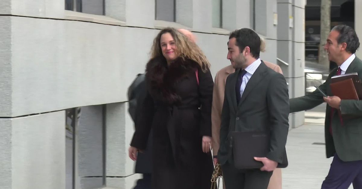 El juez del caso Koldo en la Audiencia Nacional investigará los pagos ...