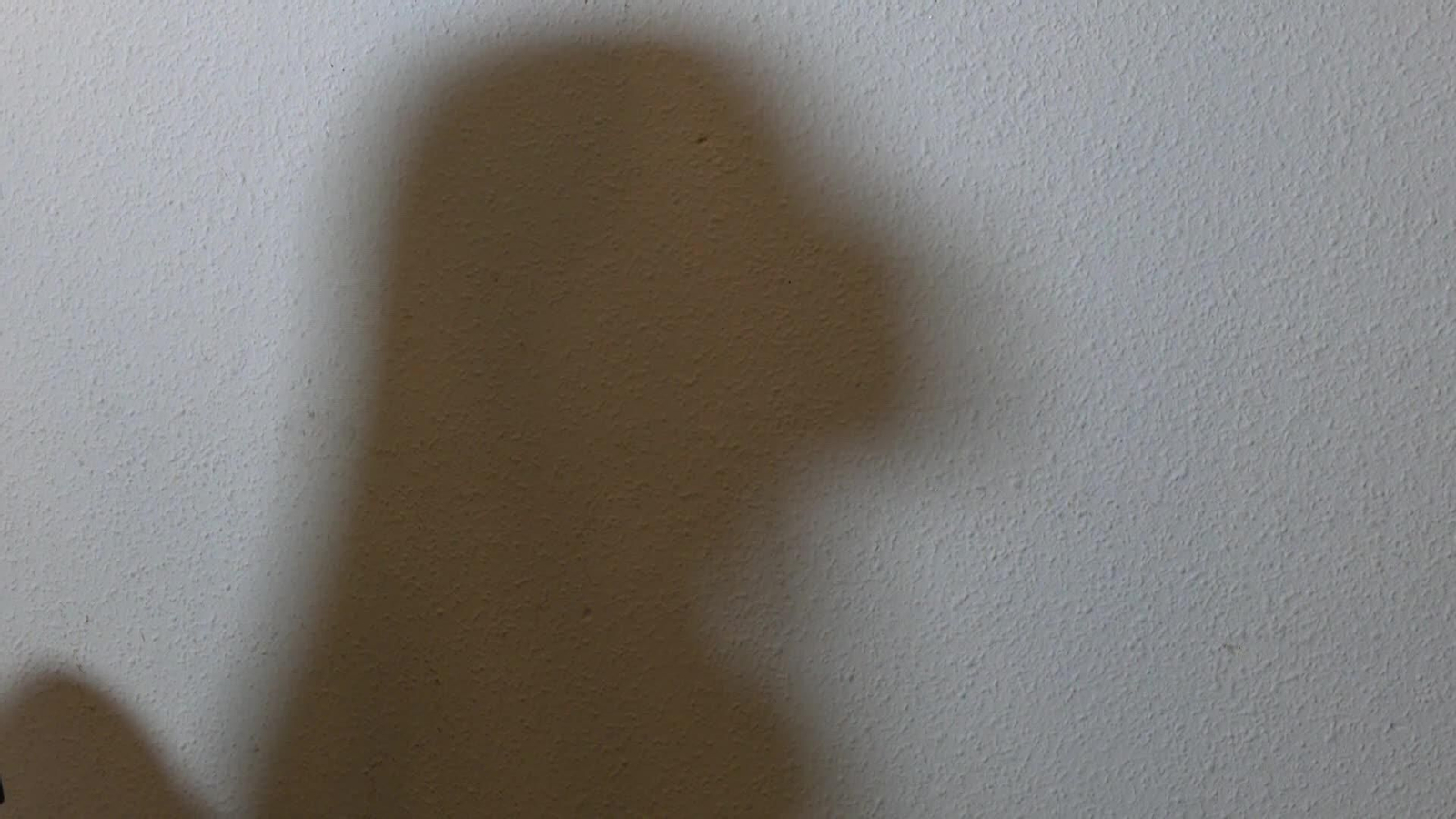 web victima y policia