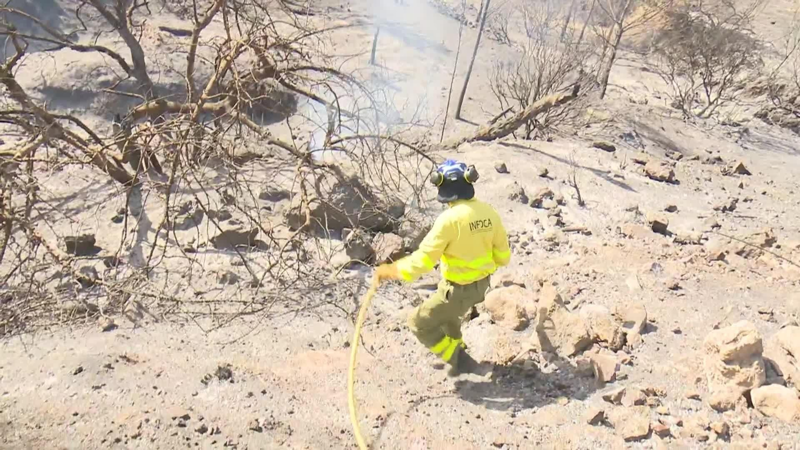 web vecinos causa fuego ok