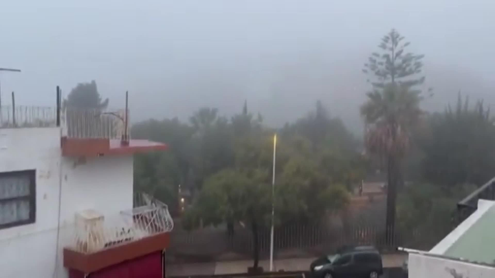 va las palmas francis canarias