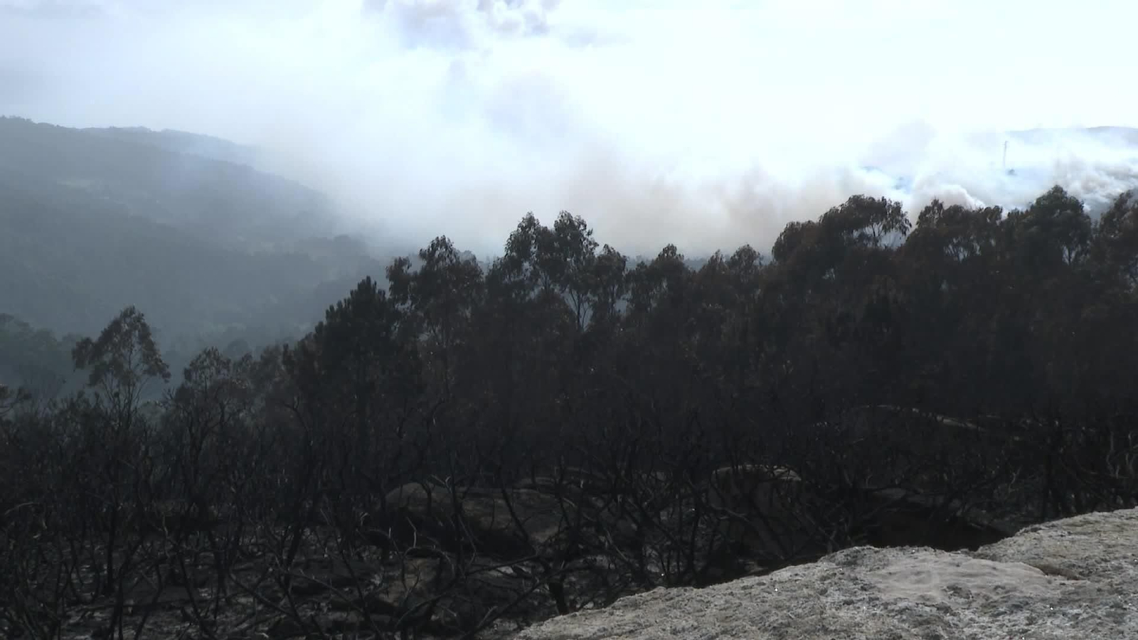 M058-A CORUÑA SEGUIMIENTO INCENDIO CORME