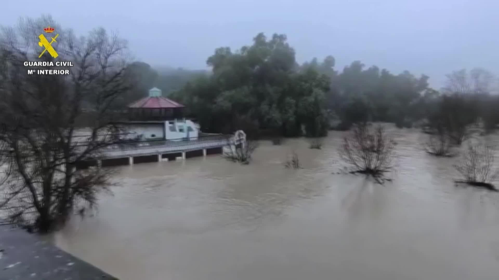 web temporal y desalojados