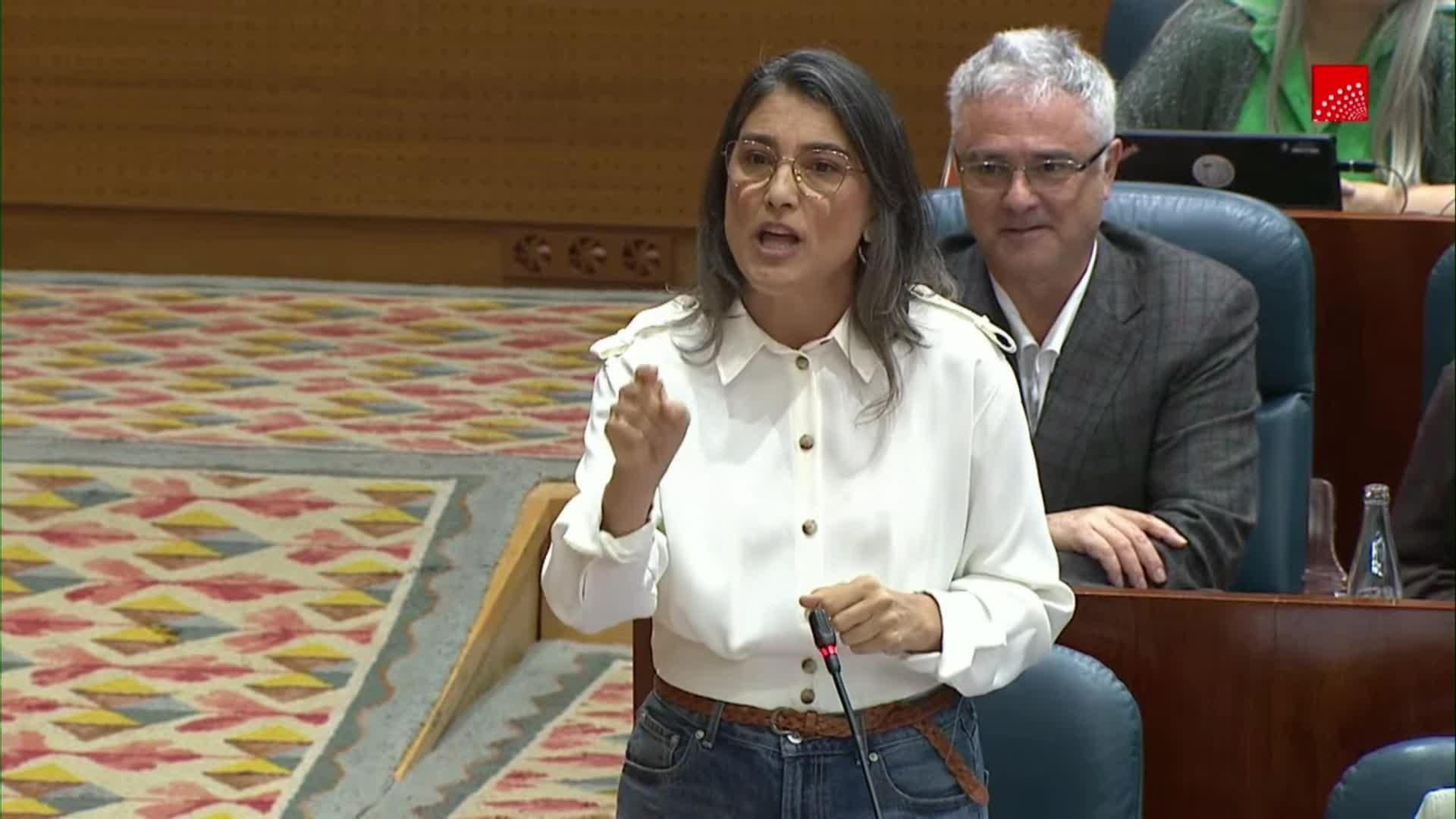 va ayuso en la asamblea